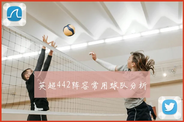 英超442阵容常用球队分析