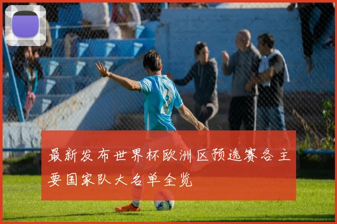 最新发布世界杯欧洲区预选赛各主要国家队大名单全览