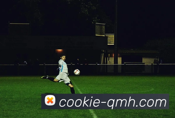 球盟会APP 高清赛事图